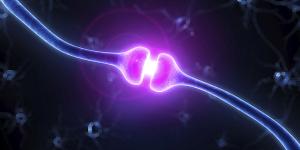 Scientific illustration of synapses connecting